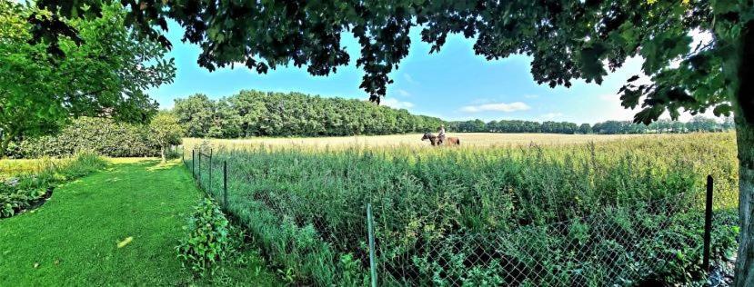 Lueneburg-Melbeck, 105 Qm Mit Fernsicht, Ruhige Sackgasse, Fussbodenheizung, Wallbox Gegen Gebuehr Eksteriør billede